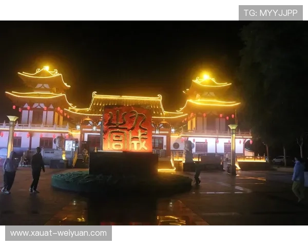 刘敏的网球人生探索：从青涩少年到职业选手的成长之路