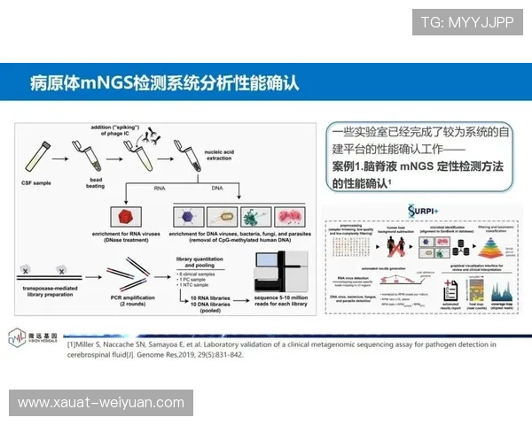 北京排球队转型之路的真实记录与发展探索 北京排球队转型之路的真实记录与发展探索