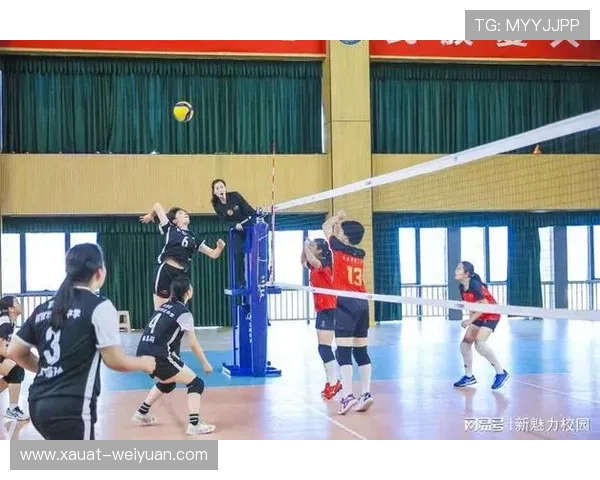 南京排球队在全国排球耐力排行榜中荣获第八名的佳绩引发关注