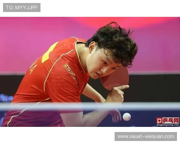 西安乒乓球队的崛起之路与冠军赛背后的奋斗故事