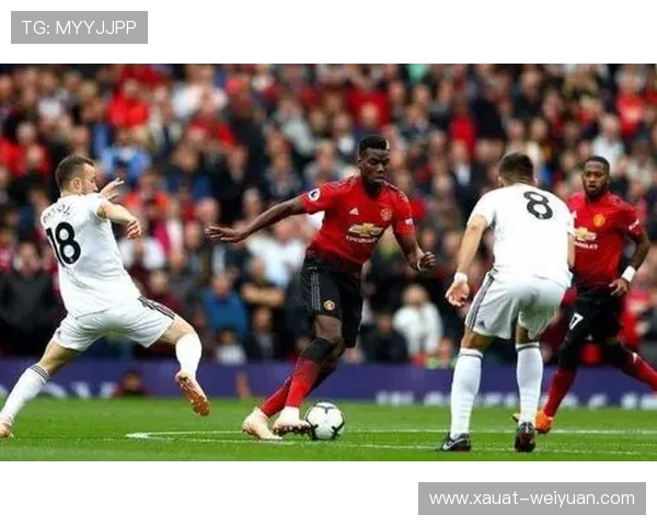 足球明星收入依然遥遥领先其他职业的原因分析与探讨