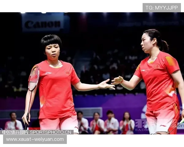 武汉羽毛球队与南京羽毛球队赛后复盘速度对比分析及战术探讨