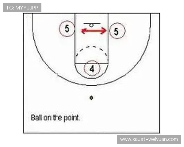 杭州排球队区域防守战术解析与实战应用探讨