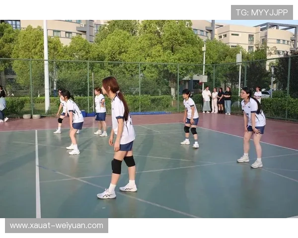 武汉排球队排球战术解析与控制体系的深度剖析与应用探讨