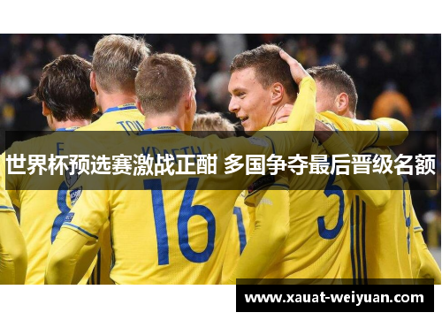 世界杯预选赛激战正酣 多国争夺最后晋级名额