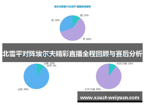 北雪平对阵埃尔夫精彩直播全程回顾与赛后分析